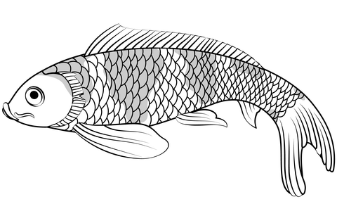 Koi Fish Coloring Page